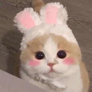 微信看片黄群免费
